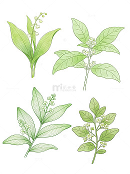 手绘卡通绿色植物花草铃兰文艺插画