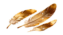 三片金色羽毛静置于白底