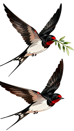 两只衔绿叶飞翔的燕子