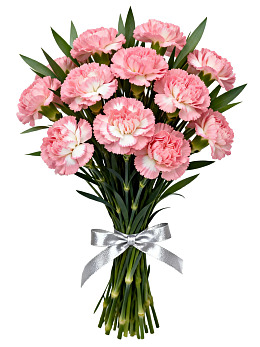 粉色康乃馨花束配银丝带