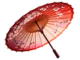 红色樱花图案传统油纸伞