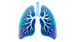 蓝色肺部结构图图片