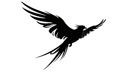 飞翔的黑色鸟剪影图案