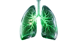 绿色发光肺部解剖图图片