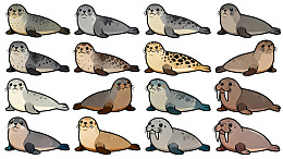 多种海豹卡通形象合集