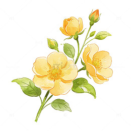 清新手绘淡彩笔触黄色色花束