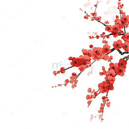 梅花图中国传统水墨画