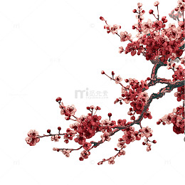 梅花绽放艺术插图