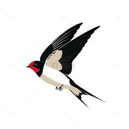 简约燕子飞翔矢量图