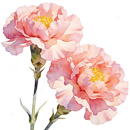 温柔水彩手绘花朵元素质感