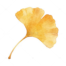 水彩银杏叶淡彩质感元素