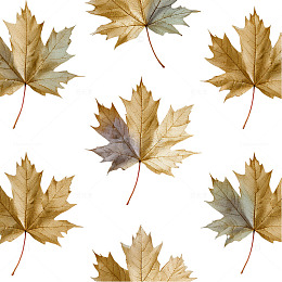 秋叶水彩图案壁纸