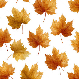 秋意枫叶图案设计素材