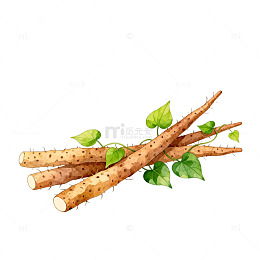 山药插画设计素材