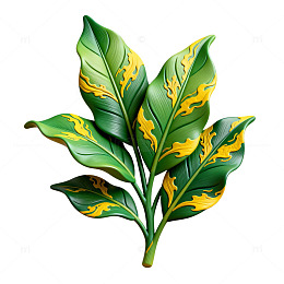 绿色叶子艺术插画