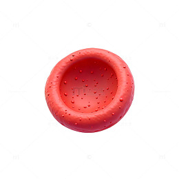 红色泡沫圆形物体特写