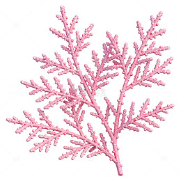 粉红色珊瑚枝装饰图案