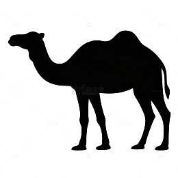 黑色骆驼剪影矢量图