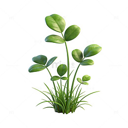 水彩风格绿植插画