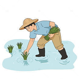 谷雨农耕插秧插画