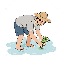 谷雨节气插秧插画