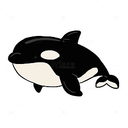 手绘卡通虎鲸免抠元素