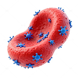 病毒入侵细胞示意图