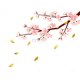 樱花插画春天花卉矢量素材