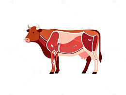 卡通牛解剖图肉类分布图示