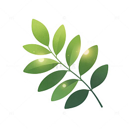 简约风格绿叶插画设计元素