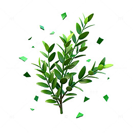动态绿叶植物插画素材