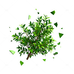 动态树飘叶插画素材