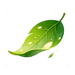 卡通风绿叶漂浮插画