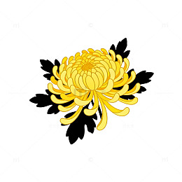 菊花图案设计素材