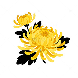 菊花插画装饰图案设计元素