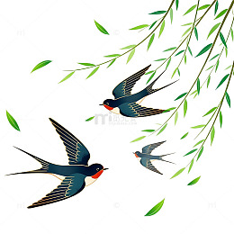 春日燕子飞柳插画
