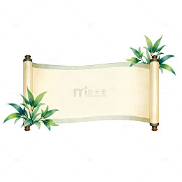 卷轴植物装饰插画设计素材