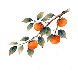 柿子水墨画古风装饰画素材