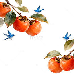 水彩柿子飞鸟装饰素材