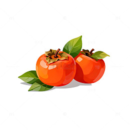 柿子插画矢量素材