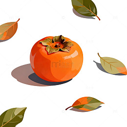柿子插画水果设计素材
