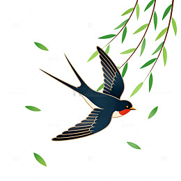燕子飞柳插画素材