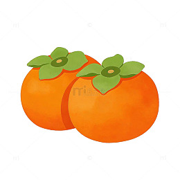 卡通柿子水果插画设计素材