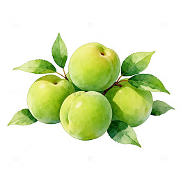 水彩青苹果水果插画