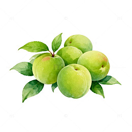 水彩青苹果水果插画