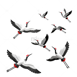 飞翔鹤鸟插画矢量素材