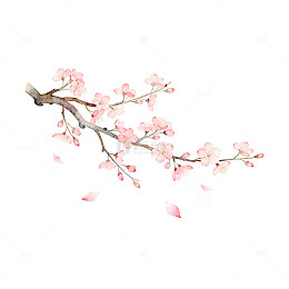 水彩樱花枝条插画素材