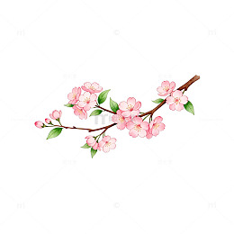 水彩樱花枝条插画设计素材