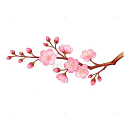 樱花插画装饰元素