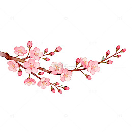 樱花盛开卡通插画装饰素材